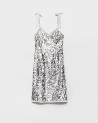 Embroidered Sequin Dress