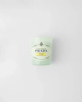 Infusion D’ylang Candle