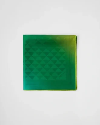 Printed Silk Twill Scarf 55