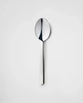 Serving Spoon